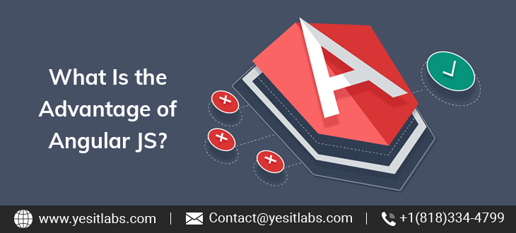 Angular JS