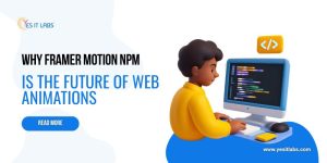 Framer Motion npm