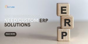 USA Need Custom ERP Solutions